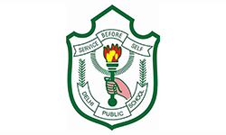 dps logo final